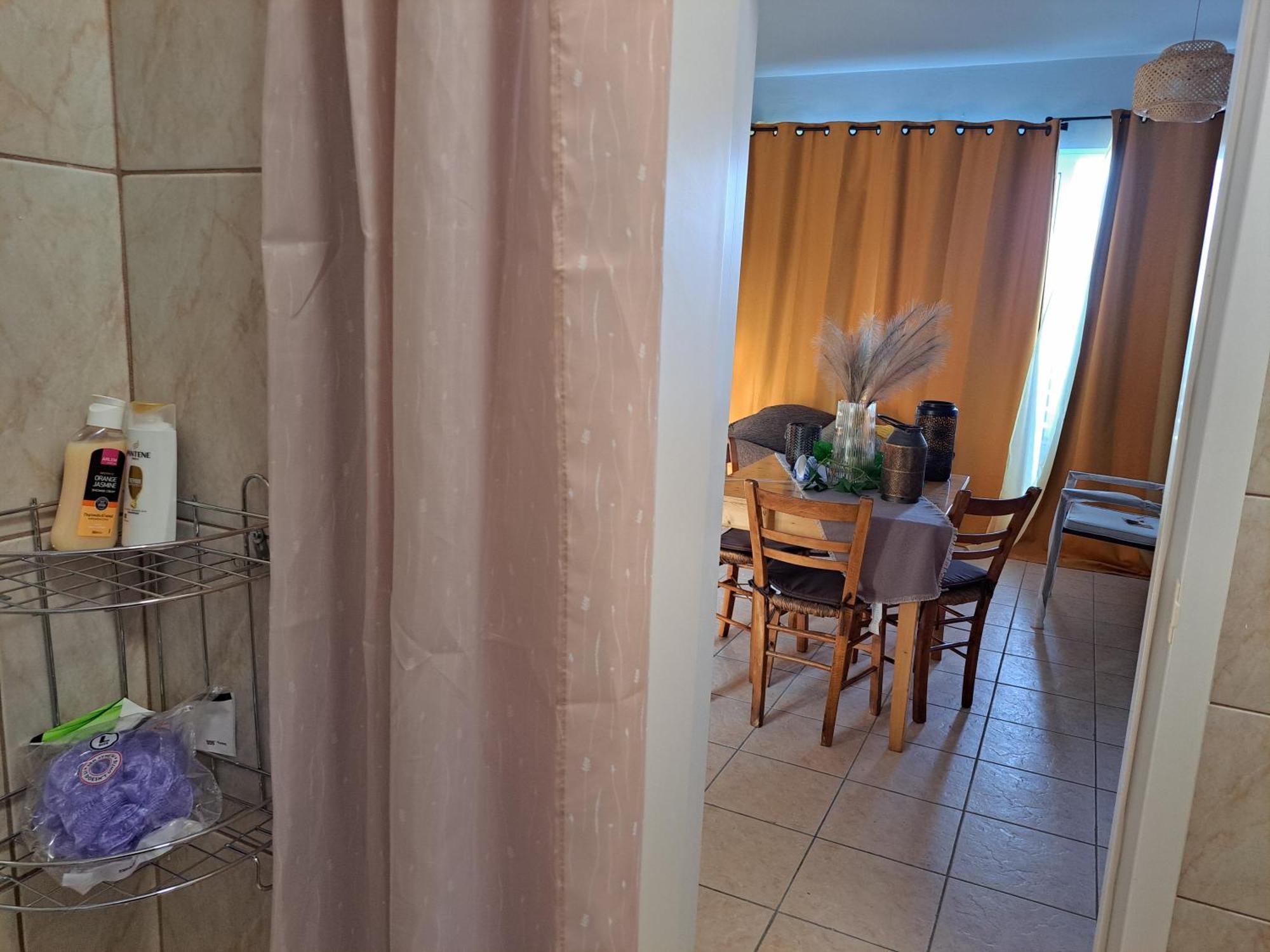 Seashell Apartment Artemida  Dış mekan fotoğraf